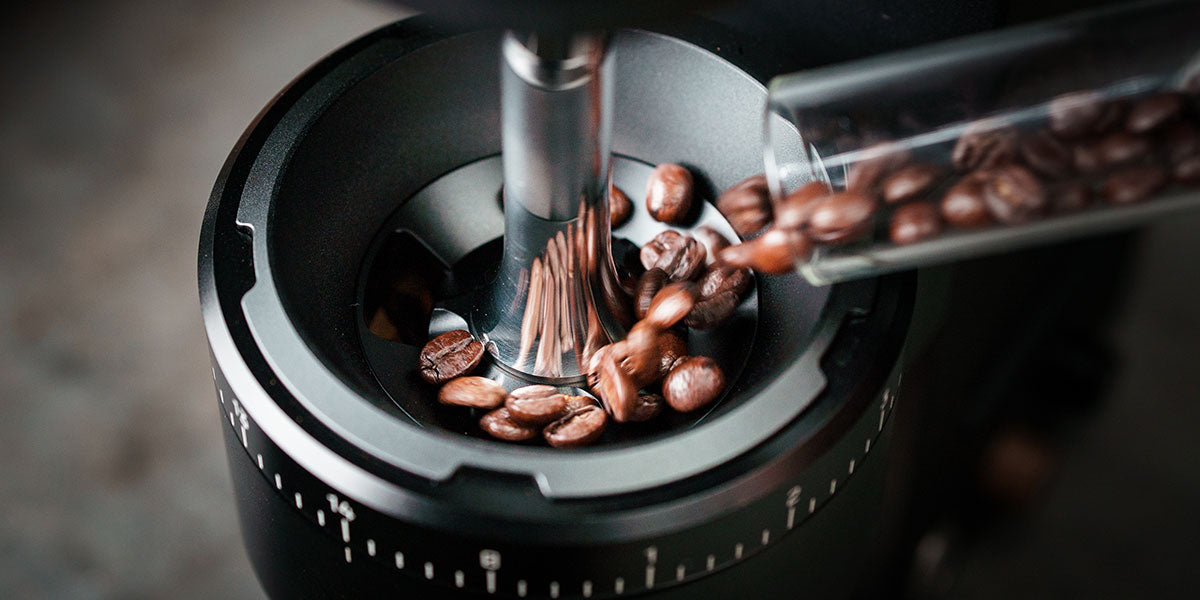 Integrated Bean Feeder